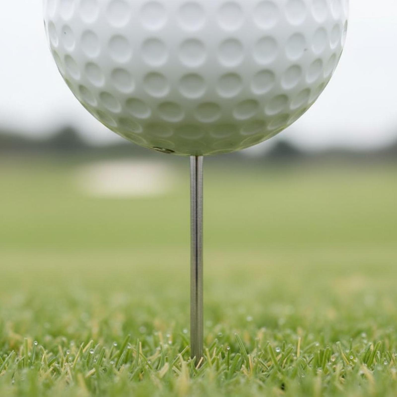 Marcador de Forma de Pelota de - Golf Tees reseña y precio